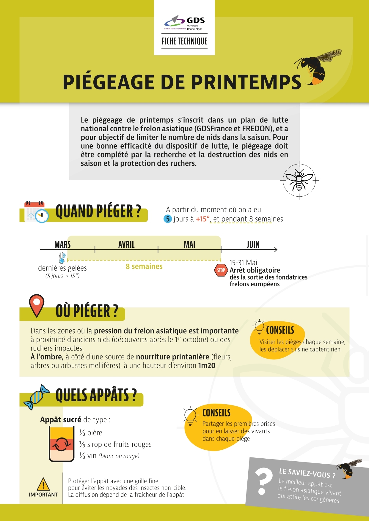 Piégeage frelons 2025-1